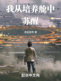 我的世界 类似游戏