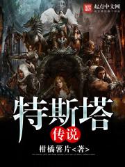 舰队大作战破解版