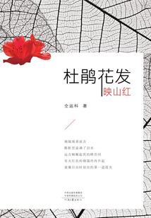 幕府 mod 征服朝鲜