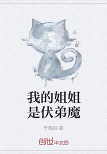 nox装备
