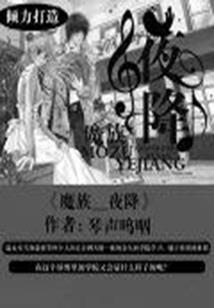 牡丹奇迹攻略
