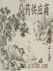 我的世界的机械石头