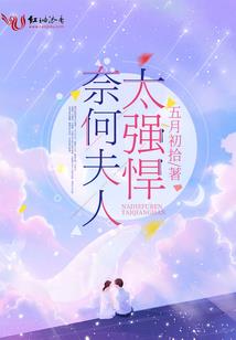 大型游戏机模拟器