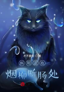 英雄围城口袋版攻略