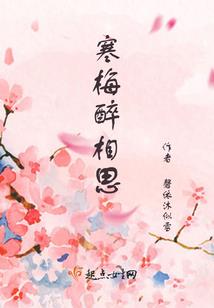 全透明皮肤输入法