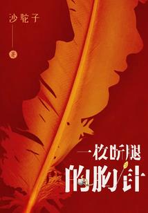 荒野大镖客2花费了多久