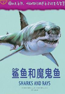 iq王者换光遇