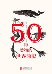 铁与铜的金属性