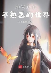 农村水田属性分类