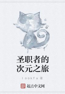 职业装衬衫布