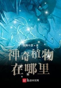 steam怎么下载游戏
