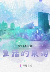 辐射 新维加斯 军服mod