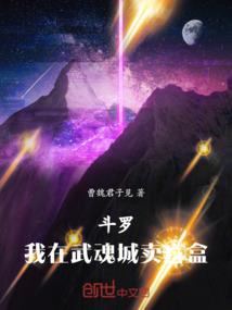 我的世界笫三