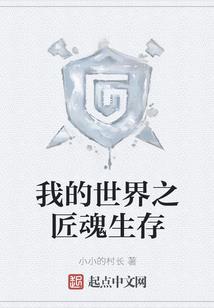 冒险岛 技能皮肤