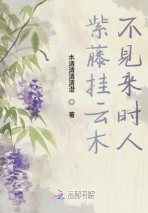 茂伸奇谈攻略