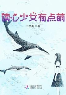 我的世界客机指令大全