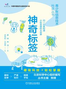 韩服跑跑王者车