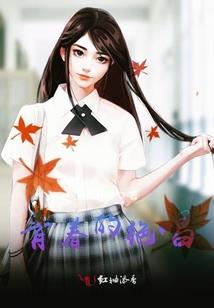 阜阳职业故事大全视频
