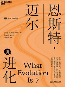 好看键盘皮肤图片