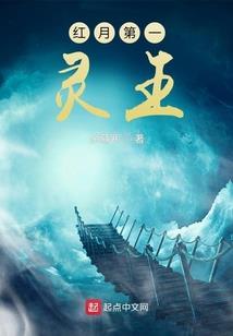 妾破解版