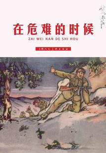 大码职业裙装