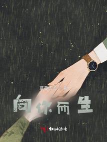 avnight 破解版