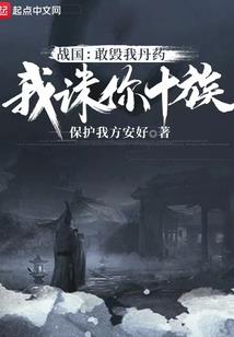 独立同伴mod