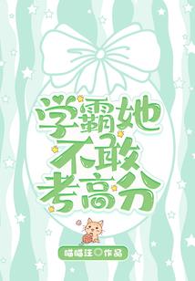 王者春什么属性最好