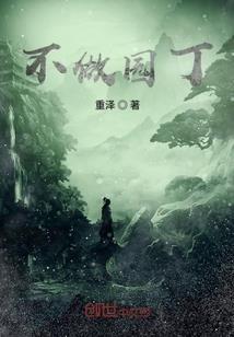 梦幻西游风险验证怎么办