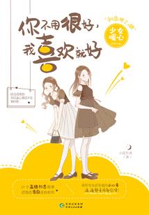 昭华令破解版