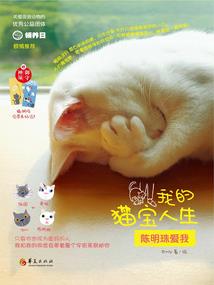 阴阳师魅族版模拟器