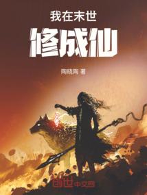 神秘海域4 ps4盘