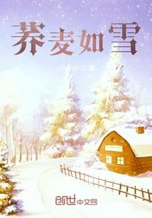 梦幻西游08竞技