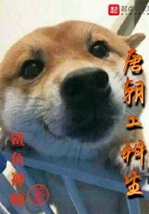 天龙八部武当加点属性