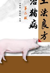 向装备要