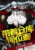 hs真三mod
