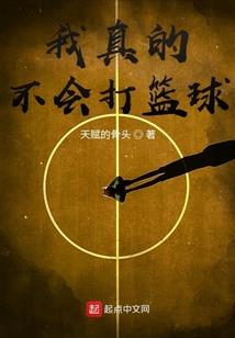 霸龙套属性