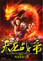 she皮肤模块
