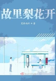 教师职业等级证书