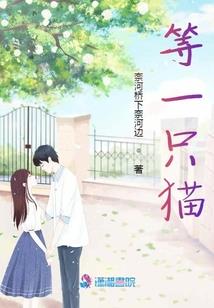 赛季服牧师属性分析