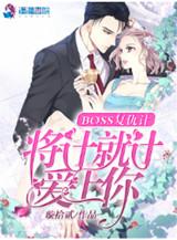 另一个英雄王 盾