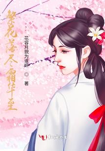 电脑皮肤问题
