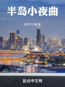 龙之谷沙龙什么属性