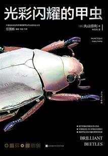 300英雄濑