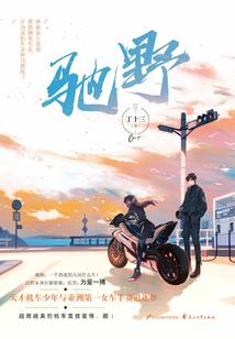 自驾游进藏攻略