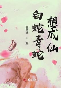 小海豹游戏