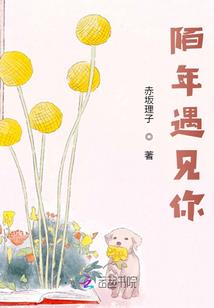 夜神 ro手游 卡更新