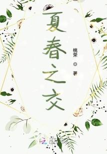 荒野夜驾