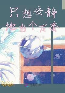 月蚀装备辅助