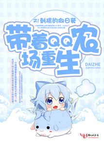 荒野公牛魅力